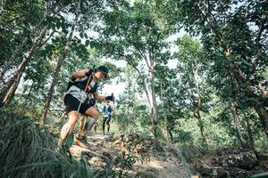 BIB: 
                            <button type="button" onclick="openModal(25984893)" class="btn btn-primary btn-sm float-right btn-popup" data-toggle="modal" data-target=".modal-high-quality">
                        <i class="fas fa-shopping-cart"></i> Add to Cart
                    </button>
                                            <button type="button" onclick="isThisMe(25984893, true)" class="btn btn-success btn-sm float-right btn-popup btn-isme hidden" data-toggle="tooltip" data-placement="bottom" title="นี่คือรูปของคุณใช่ไหม คลิกที่นี่เพื่อเอาเข้าอัลบั้ม">
                        <i class="fas fa-plus"></i> Add to album
                    </button>
                    <button type="button" onclick="isThisMe(25984893, false)" class="btn btn-warning btn-sm float-right btn-popup btn-isnotme hidden">
                        <i class="fas fa-ban"></i> Remove from album
                    </button>